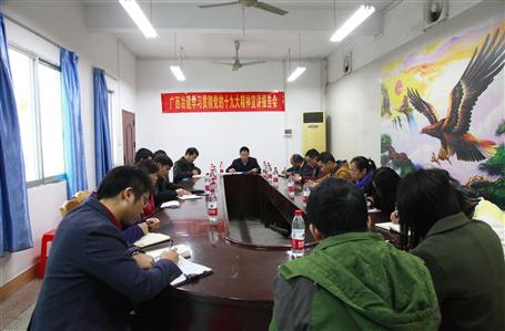 公司黨委副書(shū)記賴海標(biāo)到機(jī)電公司宣講十九大精神