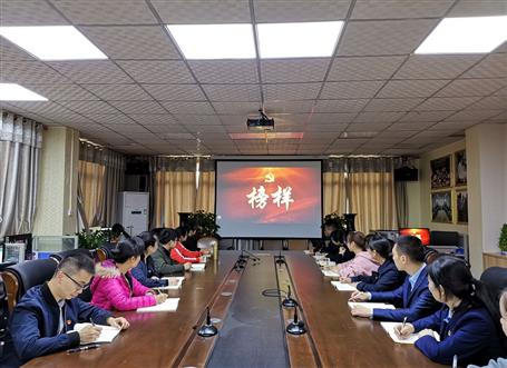 向榜樣看齊，做合格黨員