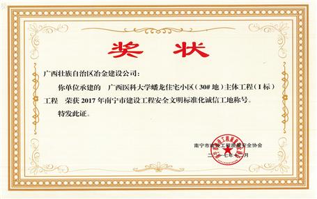 南寧分公司四個(gè)項(xiàng)目獲表彰！