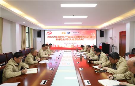 廖立波、唐峰、何勇以普通黨員身份參加所在黨支部2022年度組織生活會(huì)